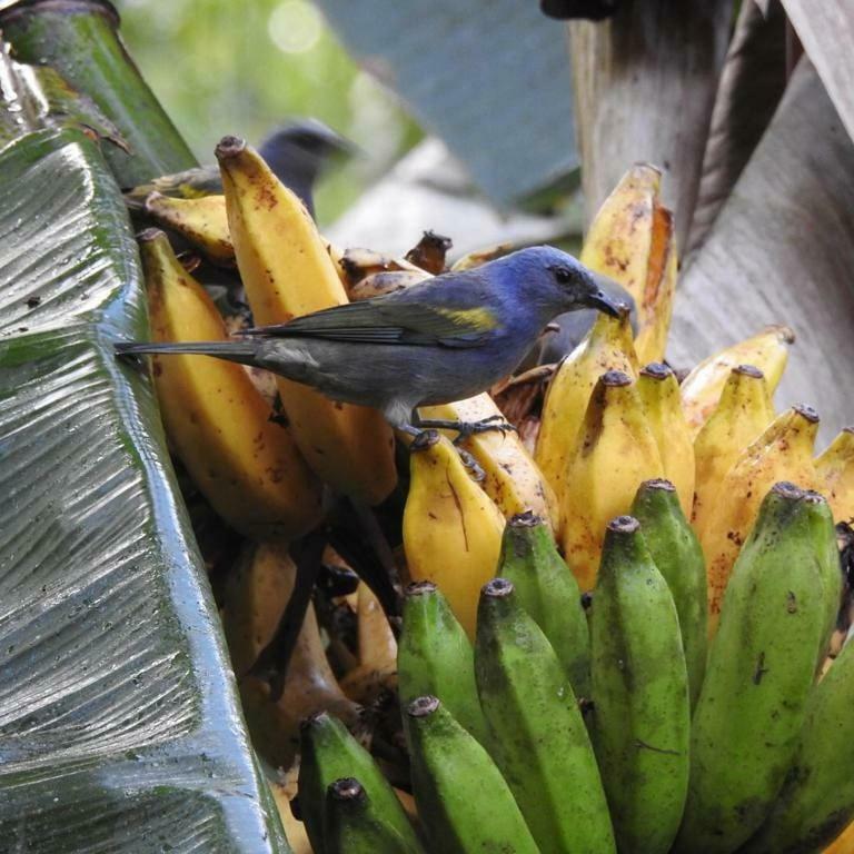 Chale Rio Dos Meros Villa Paraty Ngoại thất bức ảnh